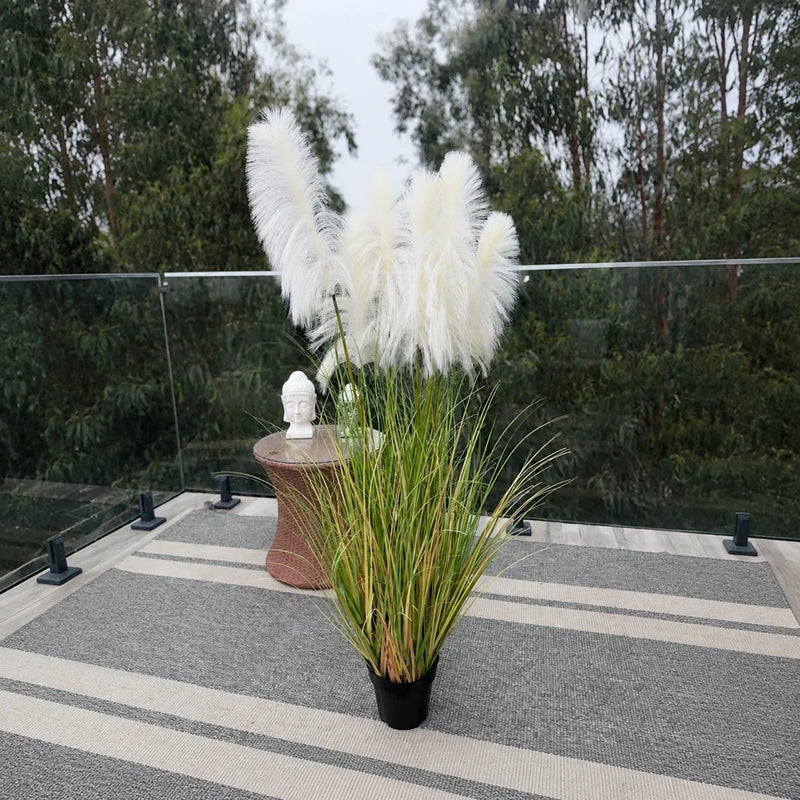 Plantas
