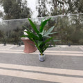 Dracaena Artificial 120 cm Onnas