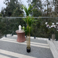 Dracaena Marginata Artificial 155 cm Onnas