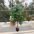 Ficus Artificial Onnas