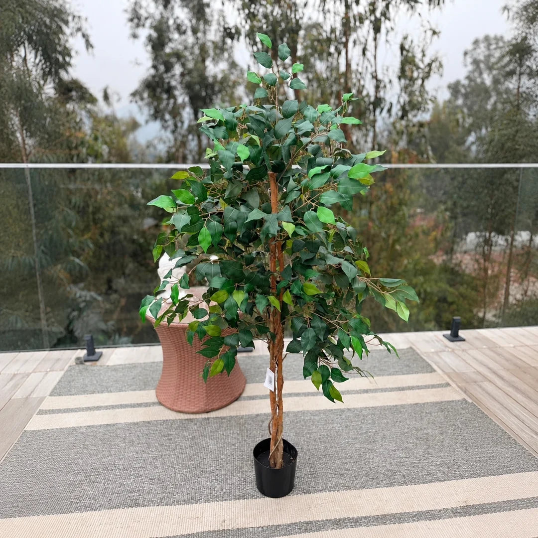 Ficus Artificial Onnas