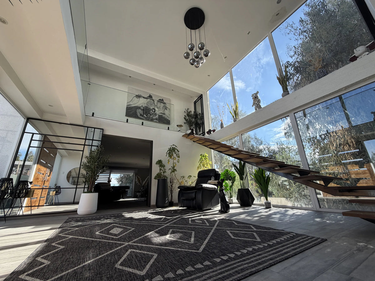 Ver catálogo — living con alfombra, sillón y plantas